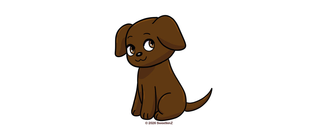 Gully the Chocolate Lab Puppy