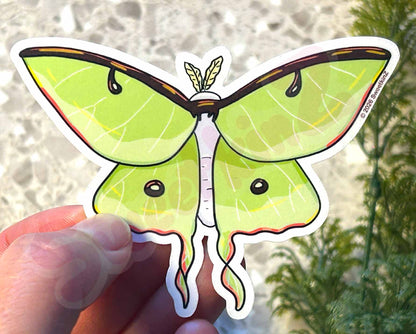 Hand holding a green butterfly-shaped sticker with a blurred natural background